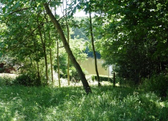 vue sur rivière (1)